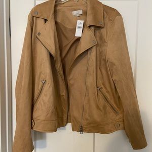 LOFT Faux Suede Moto Jacket